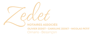 Zedet Logo